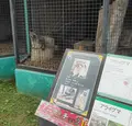帯広動物園の写真_437233