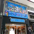 海洋堂フィギュアミュージアム黒壁の写真_217722