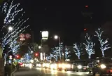 竹の塚けやき大通り