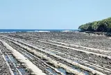 鬼の洗濯板