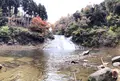 粟又ノ滝の写真_205946