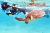 スキンダイビング・シュノーケリング専門店 OCEANZ-オーシャンズ