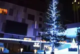ダイバーシティ東京プラザ