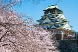 大阪城公園 桜