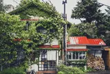 カフェ森彦
