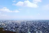 円山