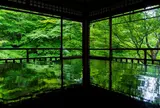 瑠璃光院