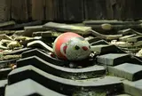猫の細道