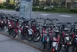 シェアサイクルポート H1-01.豊洲IHIビル前（晴海通り）