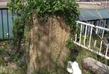 鯨魂碑