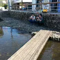 釜川プロムナードの写真_36238