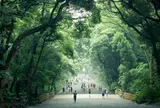 明治神宮