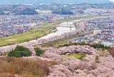 白石川堤一目千本桜