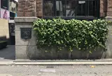 ラルフ ローレン表参道