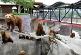 阿蘇カドリー・ドミニオン