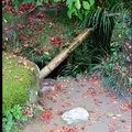 詩仙堂丈山寺の写真_70370