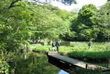 国立科学博物館附属自然教育園