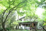 はけの森カフェ