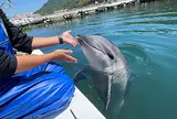 ドルフィンファームしまなみ