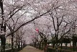 菊池神社参道