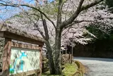 宮川ダム湖