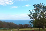 吾妻山公園