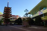 海老名中央公園