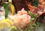 いけす料理宗弘