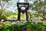 シンガポール植物園