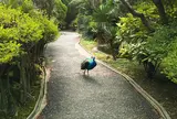 ウォーキングアベニュー