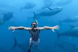 Tuna Tour