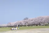宮川堤　伊勢