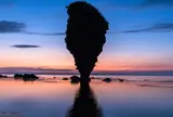 えびす岩・大黒岩