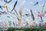 高槻市鯉のぼりフェスタ