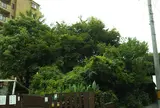 高射砲跡