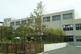 NATURE STUDIO (ネイチャースタジオ)