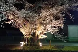 石和温泉郷