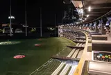 Topgolf Megacity