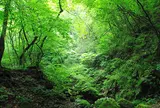 御岳山