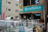 petfelice 保護犬猫シェルター