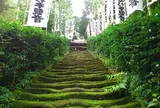 杉本寺