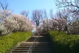 羽根木公園