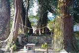 小田集会所の大元御神木