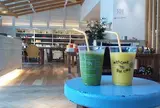 ロンハーマン 六本木店