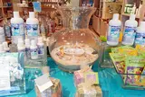 Lanikai Bath & Body
