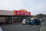 （株）スーパー丸幸 バイパス店