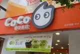coco都可