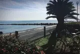鎌倉海浜公園