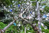 箱根ガラスの森美術館