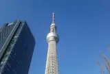 東京スカイツリー